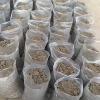 Green Seekers Activity